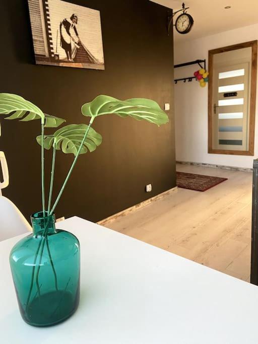 San Riverbank Apartment 프르제미슬 외부 사진